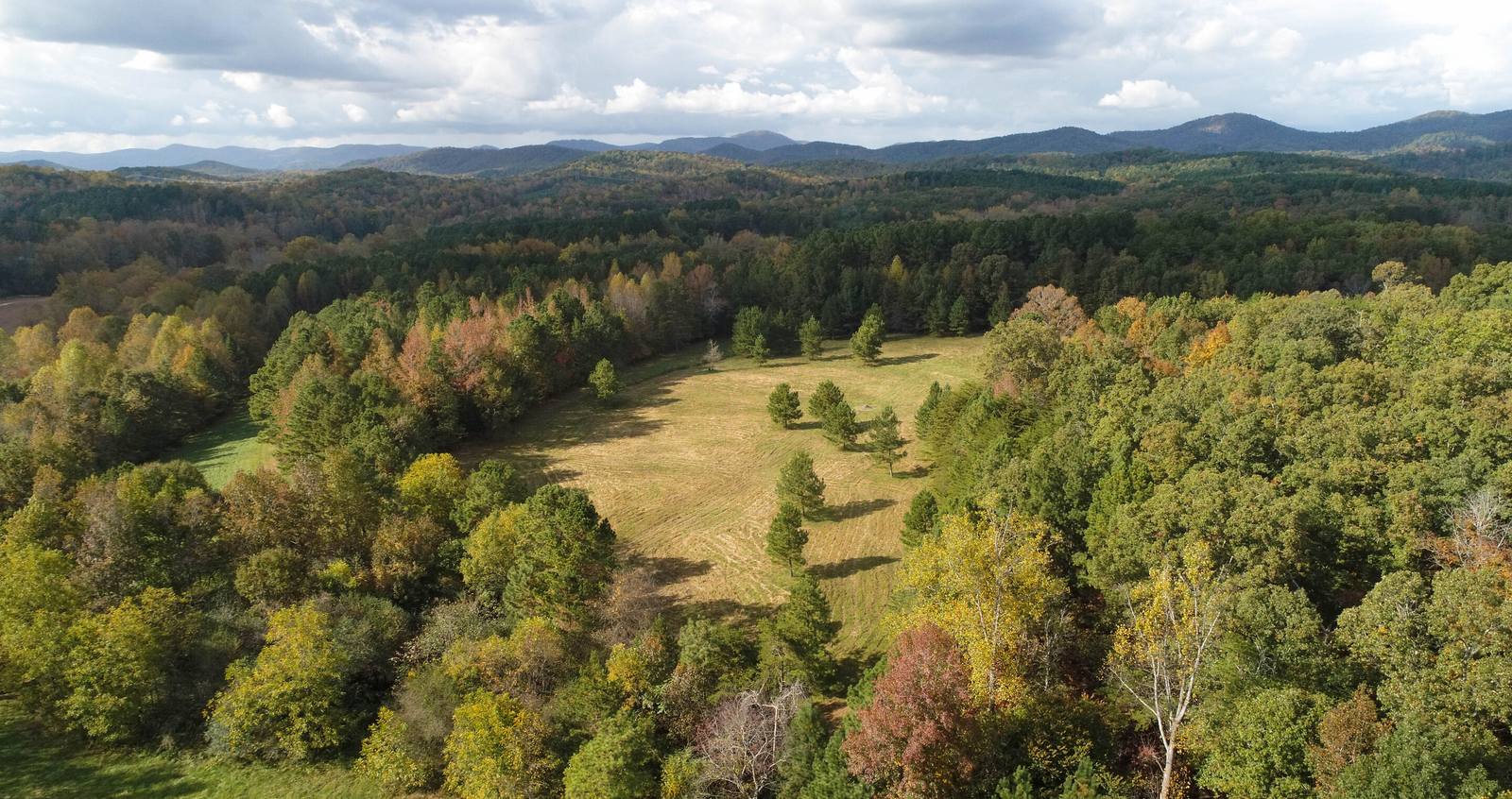 Drone aerial of a wooded Upstate South Carolina tract with the Blue Ridge Mountains behind